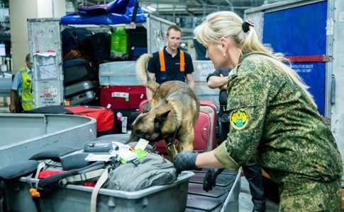 Служебная собака, обозначила рюкзак, принадлежащий гражданину Р.Ф.